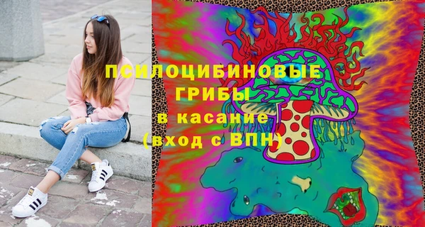 Альфа ПВП Аркадак
