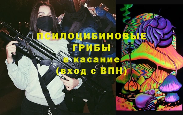 Альфа ПВП Аркадак